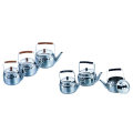 Stainless steel water kettle